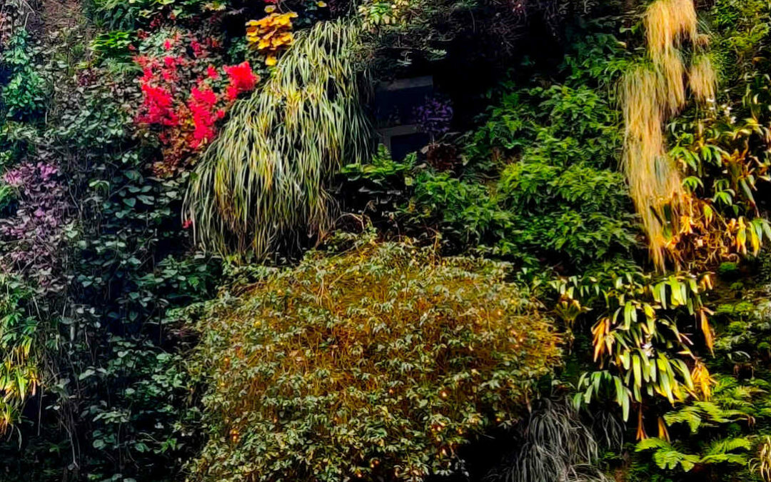 urban resilience symbolic photo of urban nature in a city on a house facade