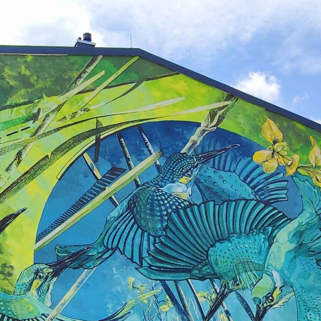 Mural by VIDEO.SCKRE in Landsberg, Bavaria, Germany. It depicts flying kingfishers and is painted in green and blue colors.