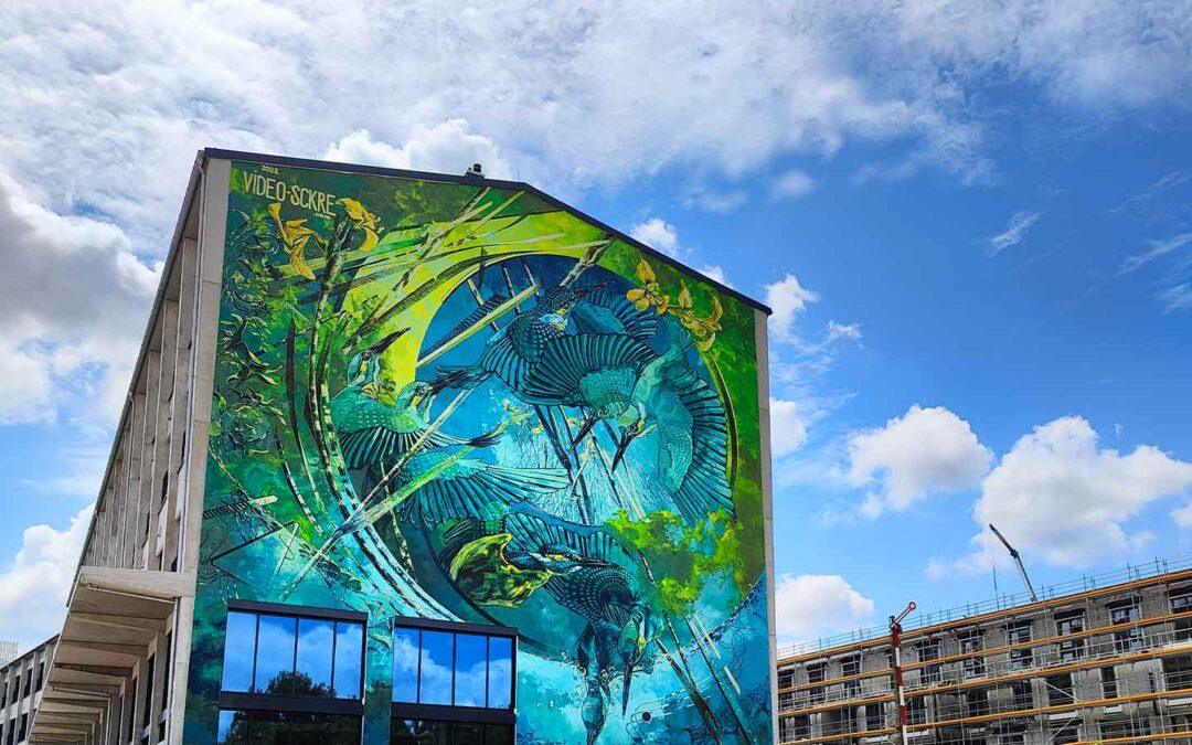 Mural by VIDEO.SCKRE in Landsberg, Bavaria, Germany. It depicts flying kingfishers and is painted in green and blue colors. Long range shot of the mural and building